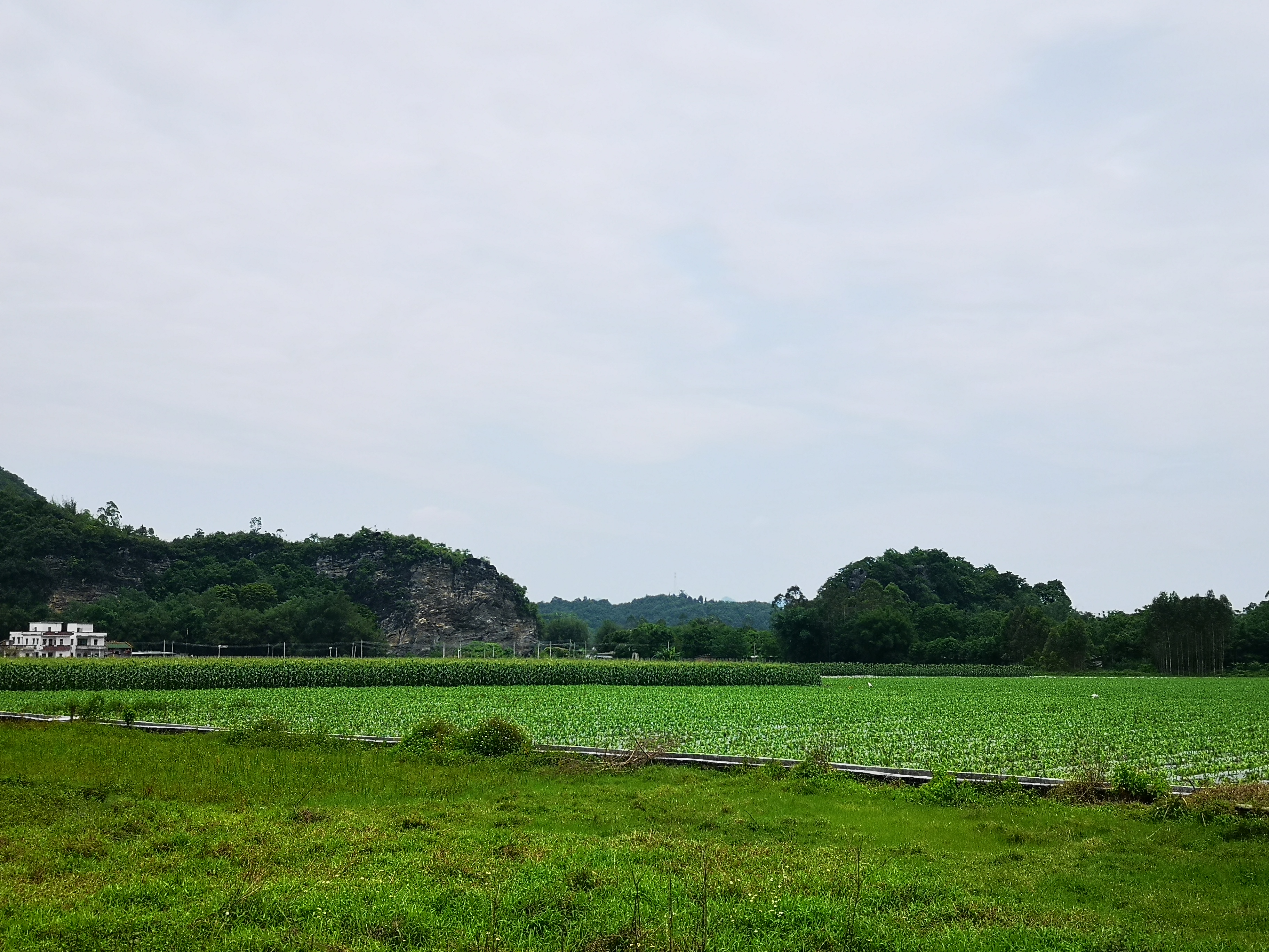 五一勞動(dòng)節(jié)，致敬自己